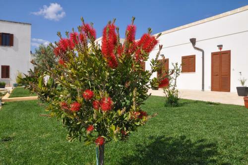 Apartamento Masseria Giulio