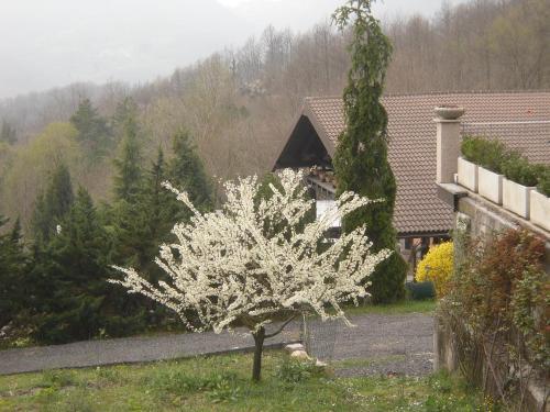 Agroturismo Agriturismo Le Giare