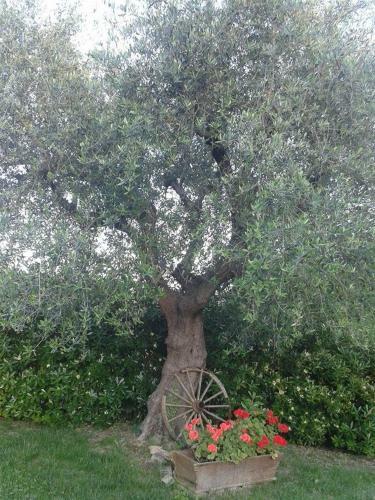 B&B La Rosa Antica
