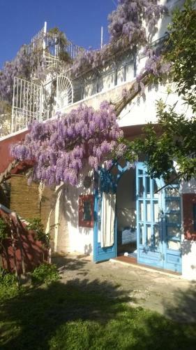 Scheria B&B