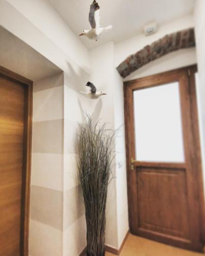 Hostal Carugio Remilde