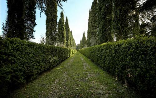 Villa Fattoria La Collina