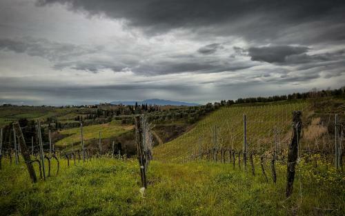 Villa Fattoria La Collina