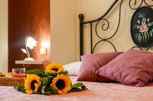 Hostal Casa Scola