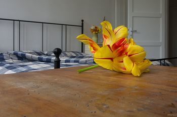 Bed & Breakfast La Casa Dei Lumi