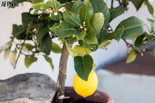 Agroturismo Agriturismo San Silvestro