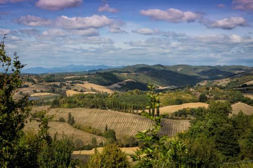 The Apartments Montone