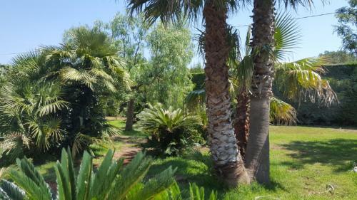 Villa Tenuta La Fresa