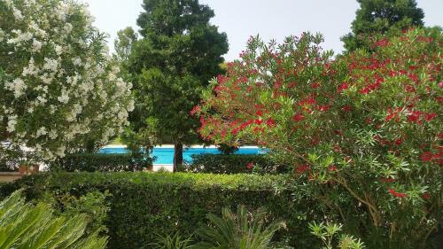Villa Tenuta La Fresa