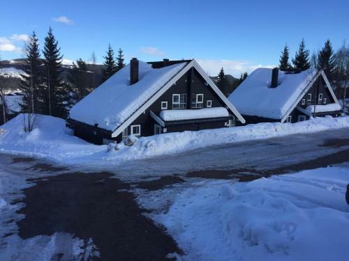Trysil Alpin 16a