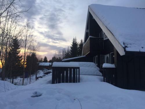 Trysil Alpin 16a