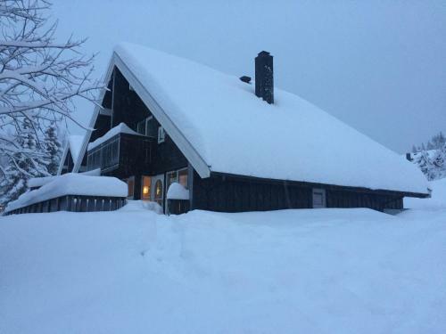 Trysil Alpin 16a