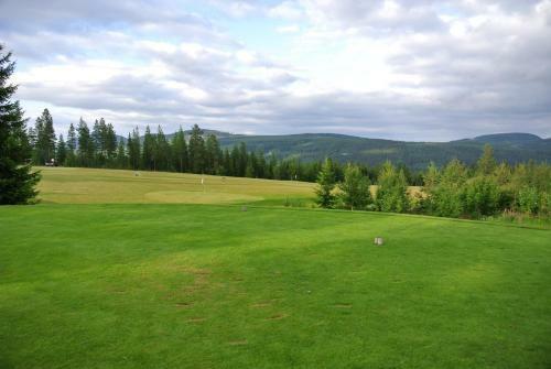 Trysil Alpin 16a
