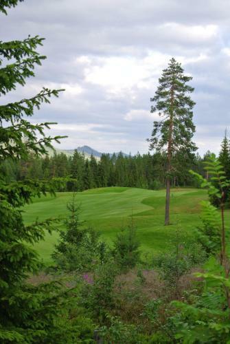 Trysil Alpin 16a
