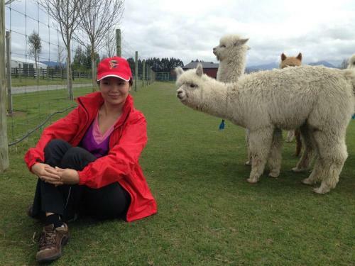 Aoraki Cottage B&b/farm Stay
