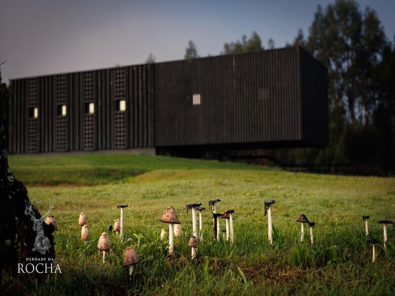 Herdade Da Rocha - Boutique Lodge