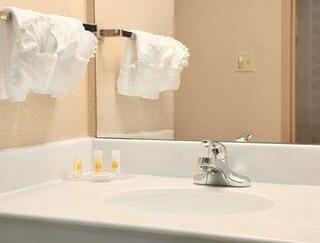 Hotel Days Inn Buffalo Airport