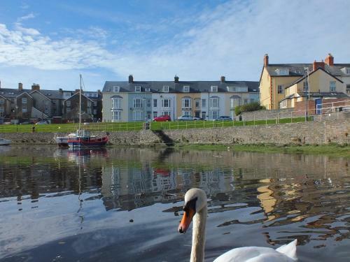Aberystwyth Harbour-side Apartment
