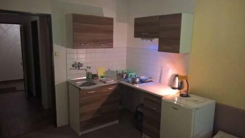 Apartamento Penzion U Luk�??