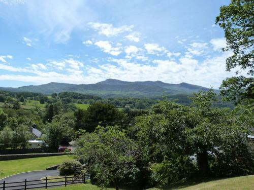 Gerddi'r Coed