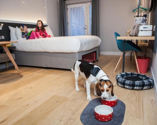 Hotel Lodge At Solent