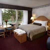 Hotel Bow View Lodge