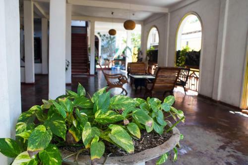 Hostal Casalanka Hotel