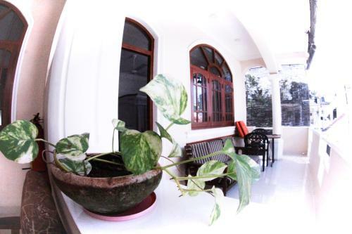 Posada Angel Inn Guest House