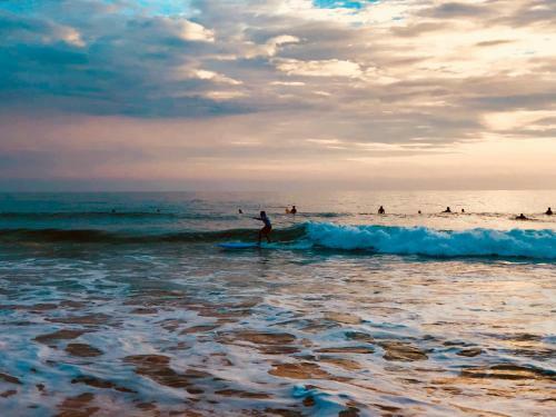 Hostal Brothers Spot Hikkaduwa