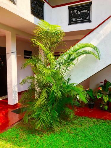 Hostal Brothers Spot Hikkaduwa