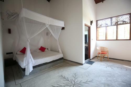 Hostal Mary's Palm Garden