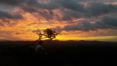 Hotel Wild View Resort