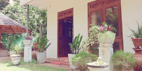 Hotel Wild View Resort