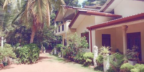 Hotel Wild View Resort
