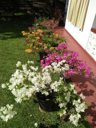 Hostal Inuja Guest
