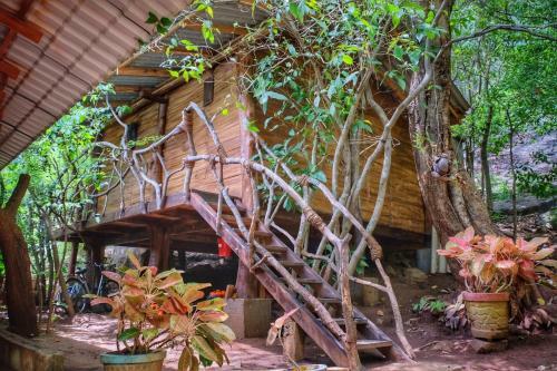 Bed & Breakfast Golden Rainbow Guest House