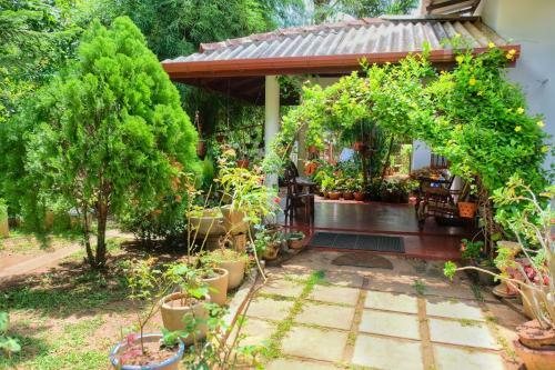 Bed & Breakfast Golden Rainbow Guest House