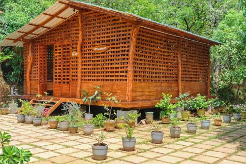 Bed & Breakfast Golden Rainbow Guest House