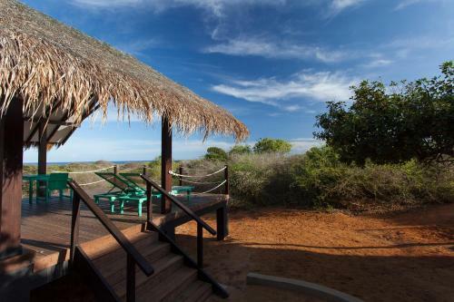 Jetwing Safari Camp (all Inclusive)