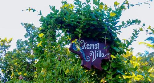 Bed & Breakfast Kamal Villa