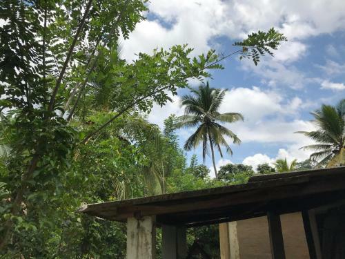 Sinharaja Tranquil Homestay