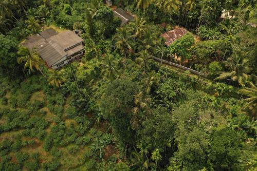 Sinharaja Tranquil Homestay