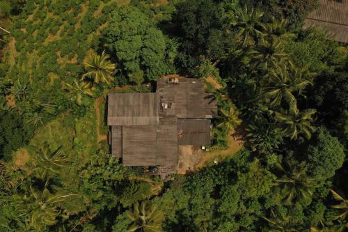 Sinharaja Tranquil Homestay