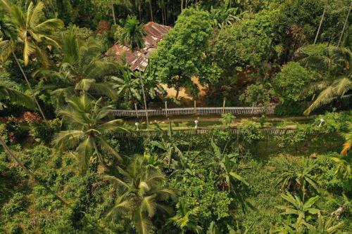 Sinharaja Tranquil Homestay