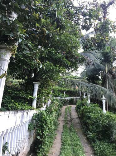 Sinharaja Tranquil Homestay