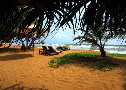 Hotel Temple Tree Resort & Spa
