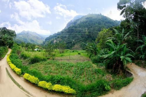 Sunray Homestay