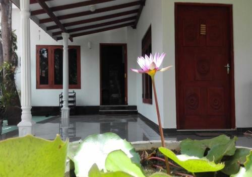 Bed & Breakfast House Of Seya