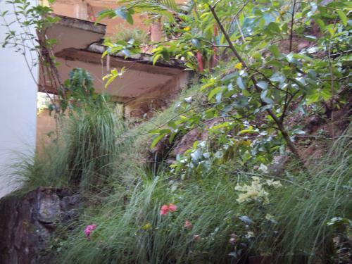 Araliya Home Stay