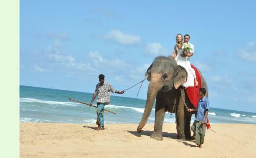 Bentota Home Stay